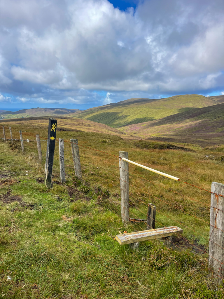 Steps over fencelines into bogs
