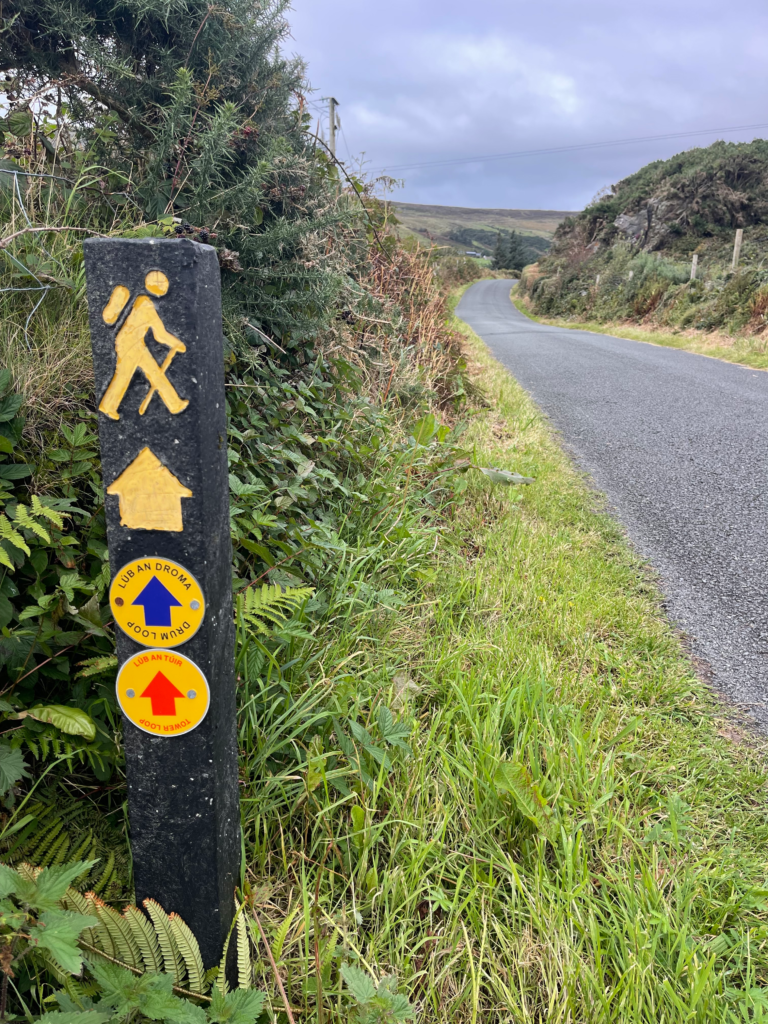 a way marker on the side of the road with images of a hiker and arrows in red and blue