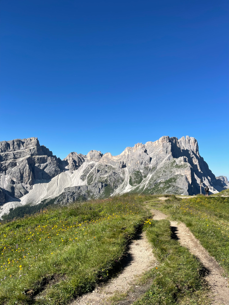 Dirt trail lined with yellow wildflowers winds across a grassy plateau beneath jagged limestone peaks on Day 3 of Alta Via 2, nearing Rifugio Firenze.