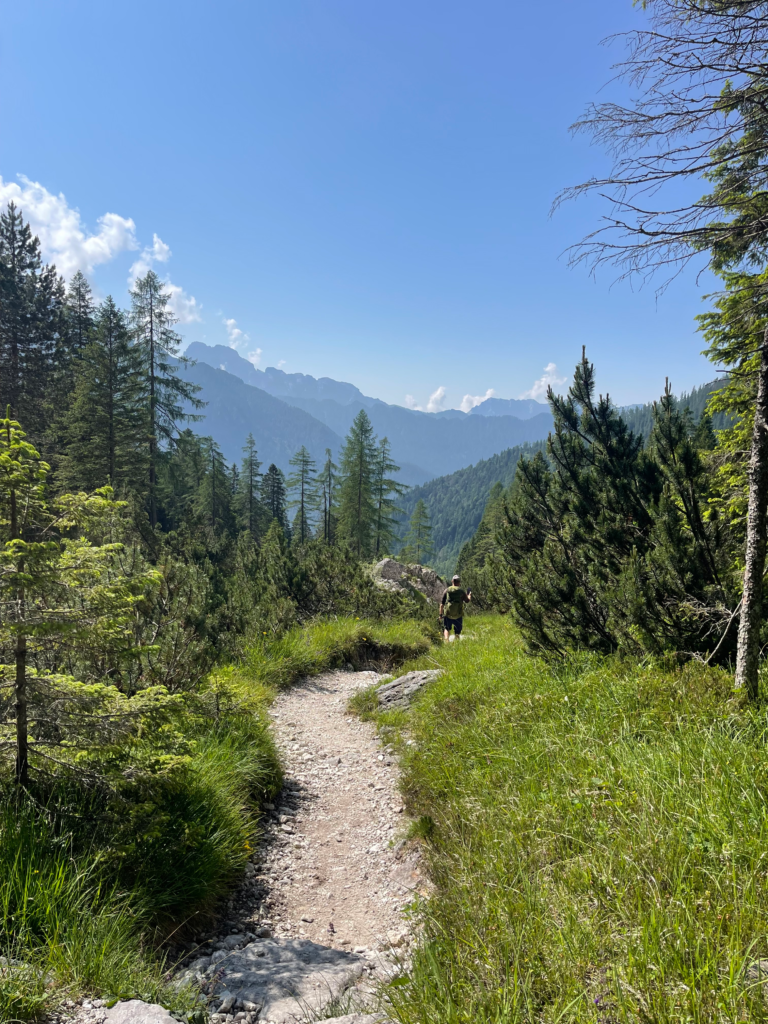 a beautiful alpine trail stretches out before the camera on day 3 of the Palaronda Trek to Rifugio Treviso