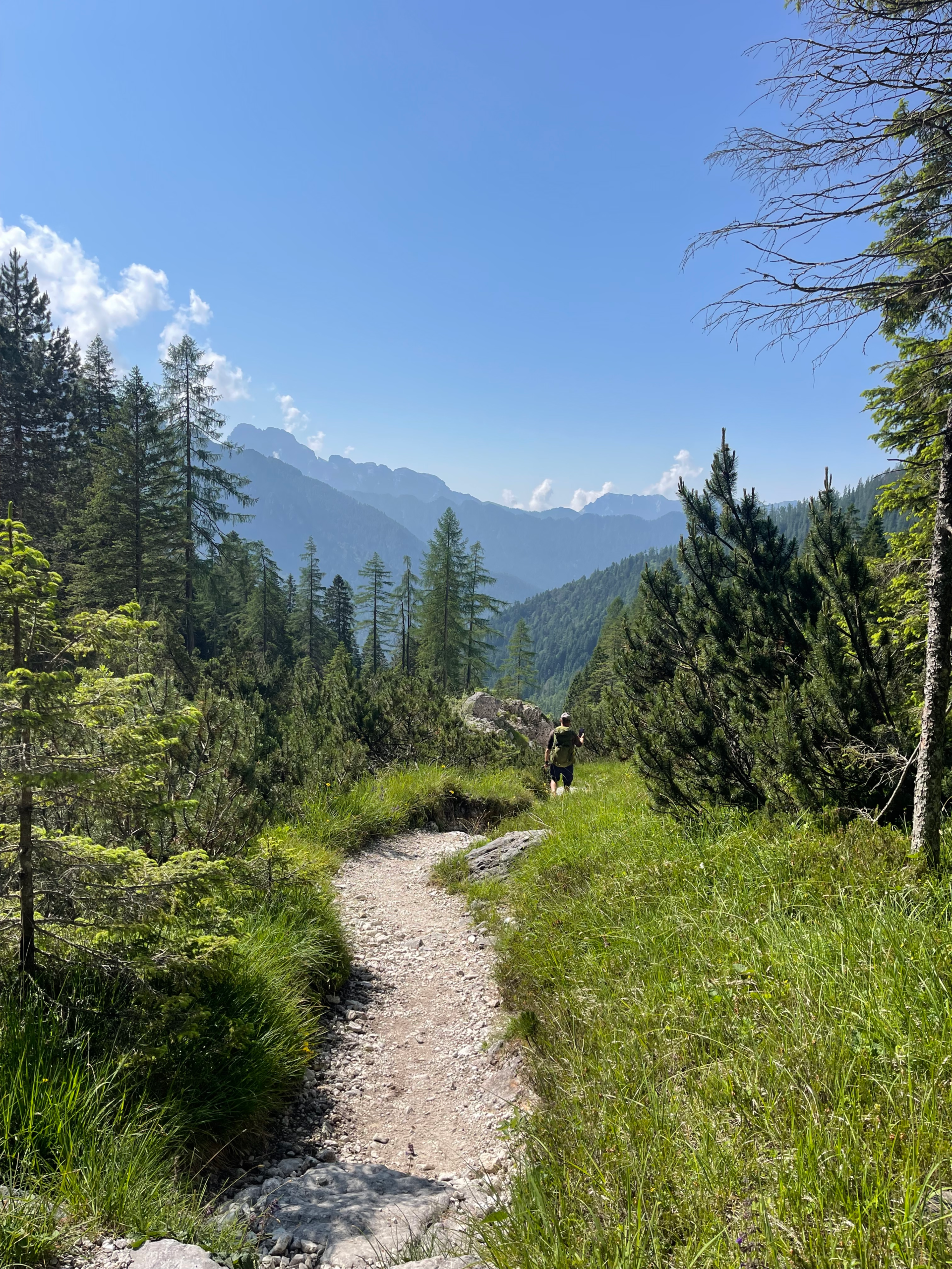 a beautiful alpine trail stretches out before the camera on day 3 of the Palaronda Trek to Rifugio Treviso