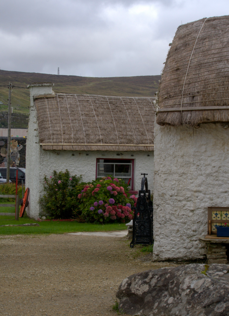 2 folk houses with thatched roofs and bright flowers at Glencolumcile