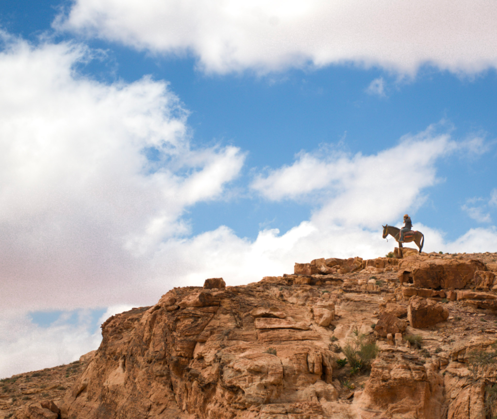 a silhouette of a person on a horse sits on a cliffside with the bright blue sky behind him