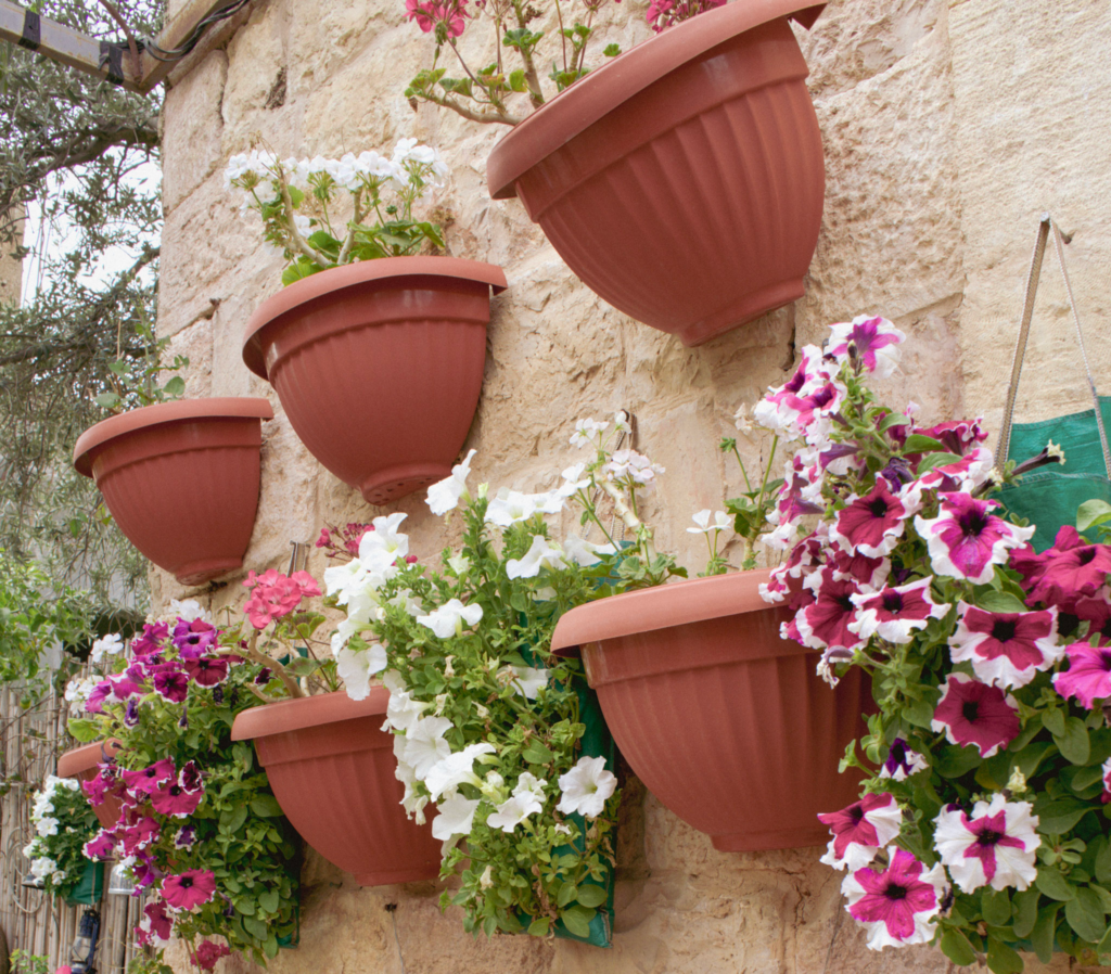 pink peonys hanging on a wall at beit khayrat souf