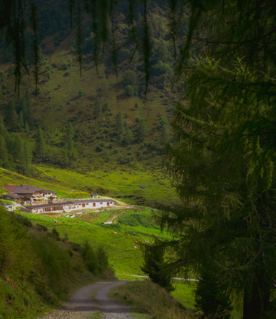 a dairy house in a green field with cars in front of it on the MADE trek