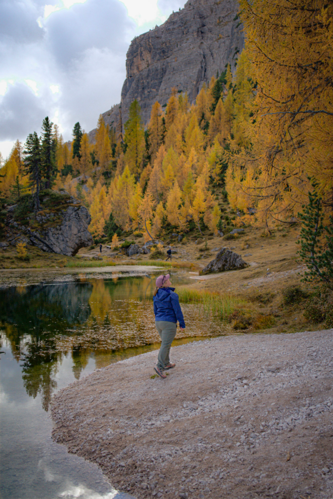 Woman in blue jacket with green pants stands by the famous lago federa in the dolomites with lush fall foliage looking on beyond the camera
