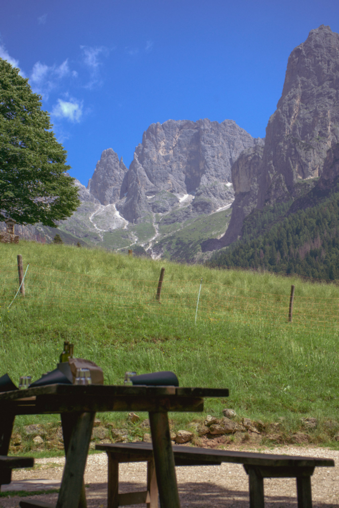 Malga Canali with the Cima Canali in the background surrounded by green grass on a clear day 3 of the Palaronda Trek to Rifugio Treviso