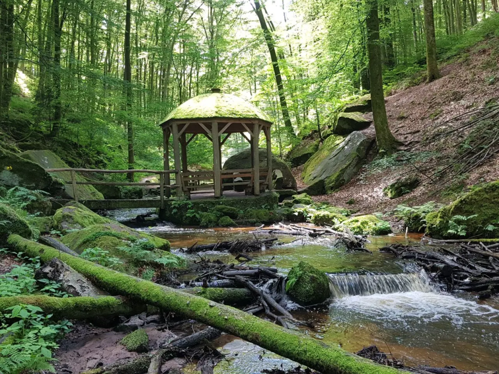 A moss-covered wooden gazebo sits beside a gently flowing stream in a lush forest. Sunlight filters through tall trees, illuminating green moss on rocks and fallen branches scattered along the water’s edge.