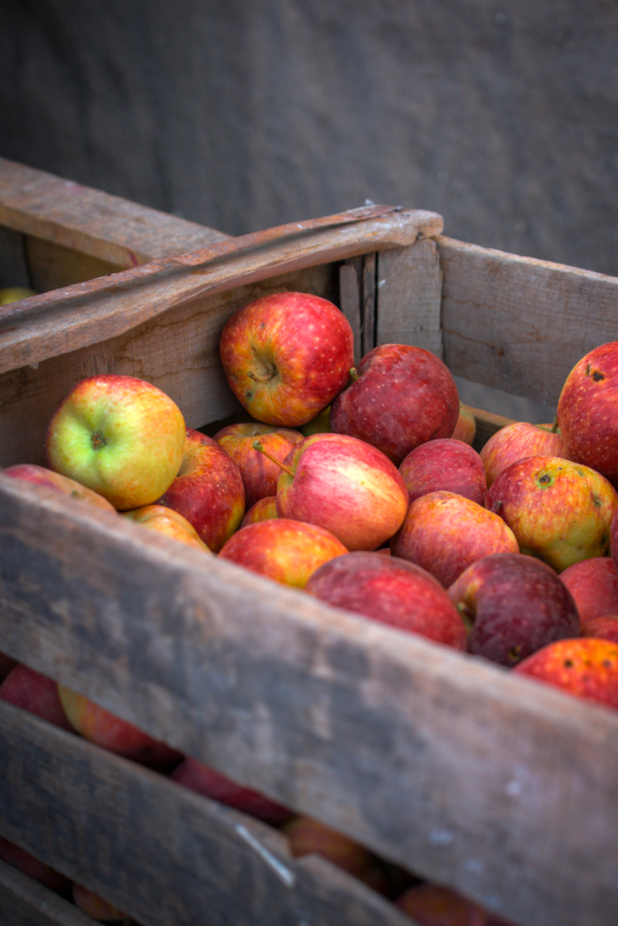 A weathered wooden crate filled with freshly harvested red and yellow apples, resting against an orchard wall in Midelt, Morocco.