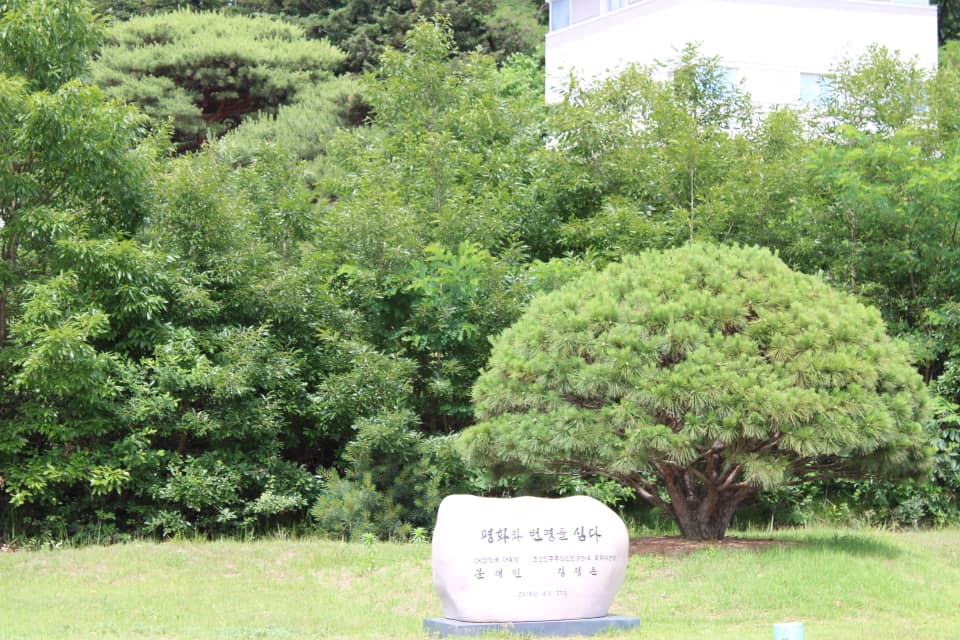 Small manicured tree and stone monument with Korean writing on a grassy lawn surrounded by dense greenery at the DMZ.