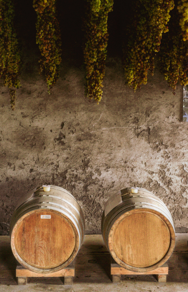 Two small oak barrels rest against a textured stone wall beneath rows of drying grapes hanging from the ceiling at Menti Wines. The scene shows the intimate scale of the winerys traditional production space.