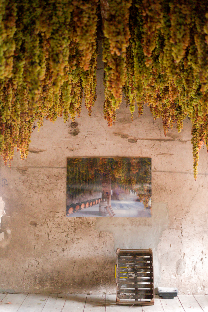 A rustic wall inside the Menti Wines drying tower features a framed photograph, a wooden crate on the floor, and thick rows of grapes hanging from the ceiling. The space feels historic and minimally styled. Title. Rustic Interior of the Drying Tower