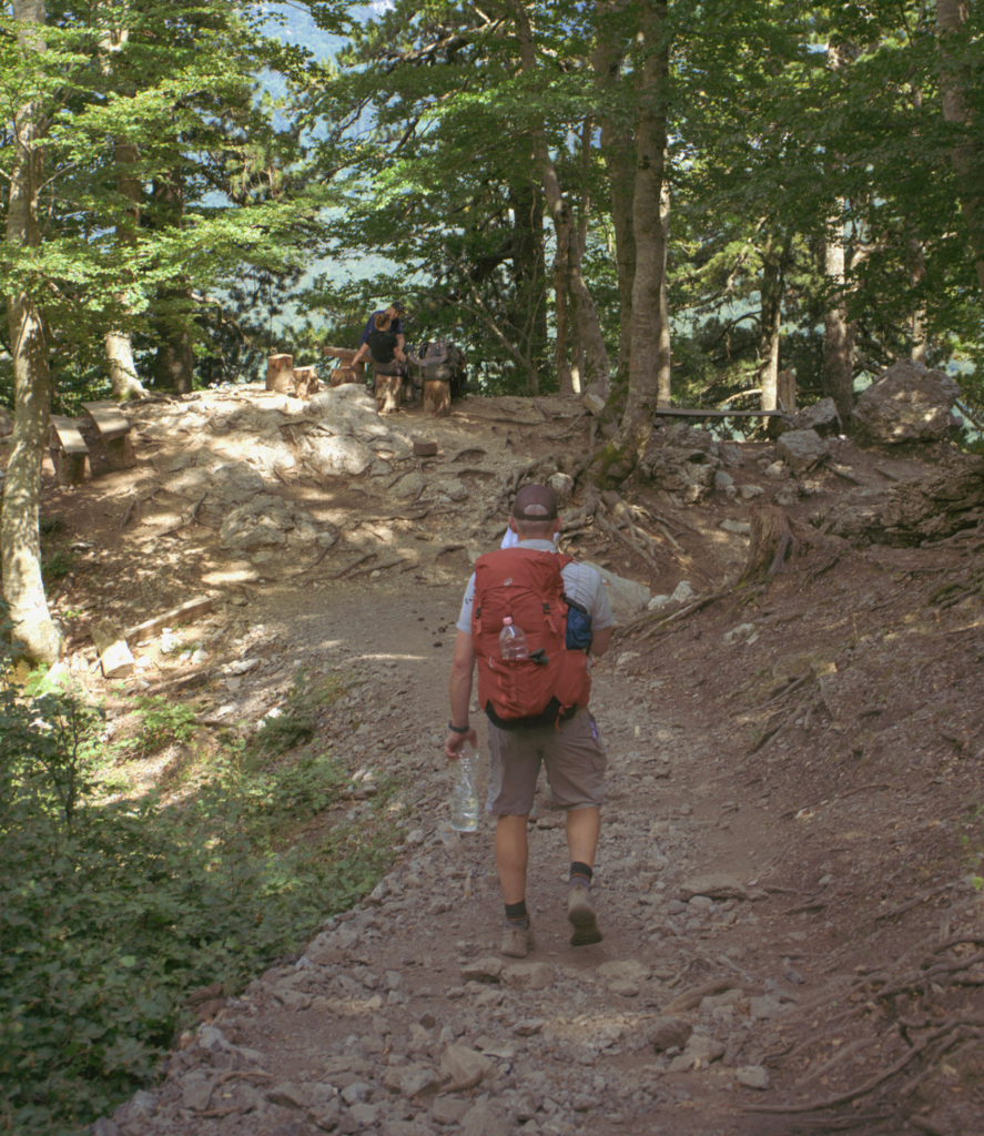 Hiker with a red backpack walking uphill on a rocky forest trail. Sunlight filters through tall trees and exposed roots line the path. The image captures the challenging but scenic terrain of the Theth to Valbone Valley trek.