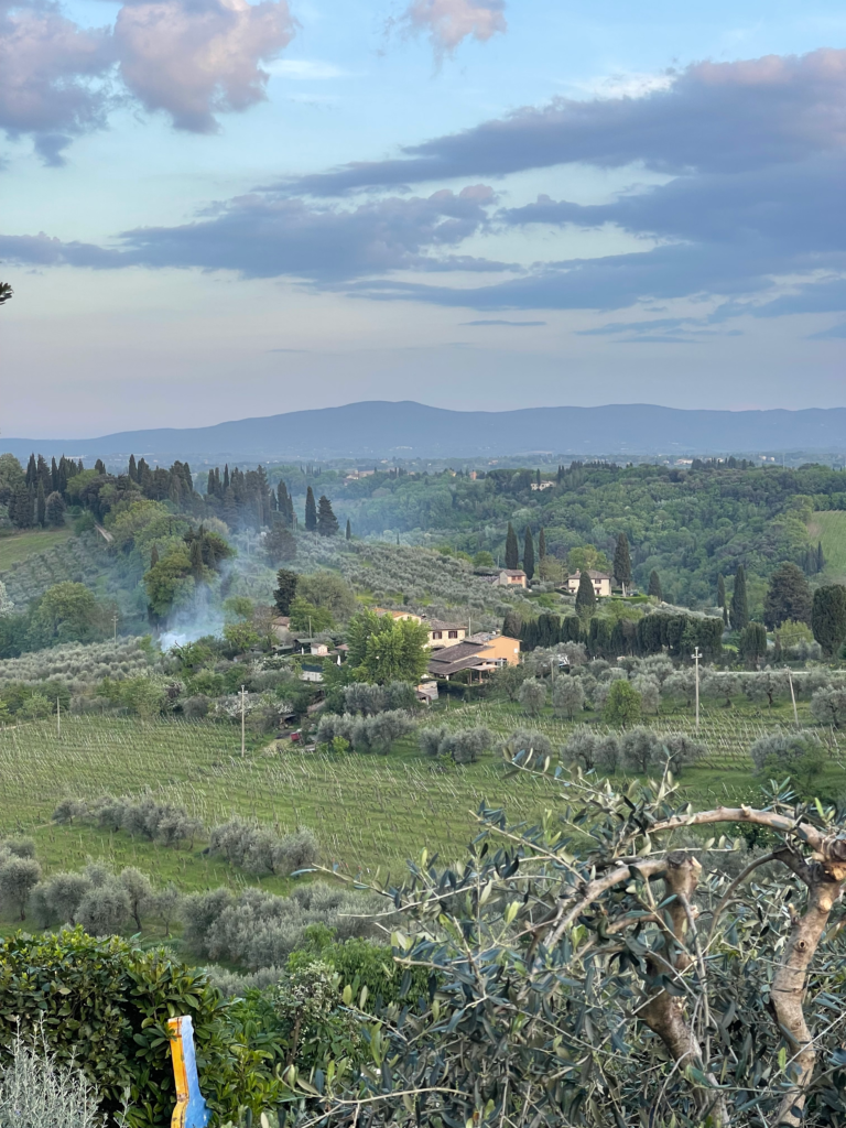 Olive groves. vineyards. cypress trees. and farmhouse rooftops spread across rolling Tuscan hills at sunset. The soft evening view shows the countryside around San Gimignano.