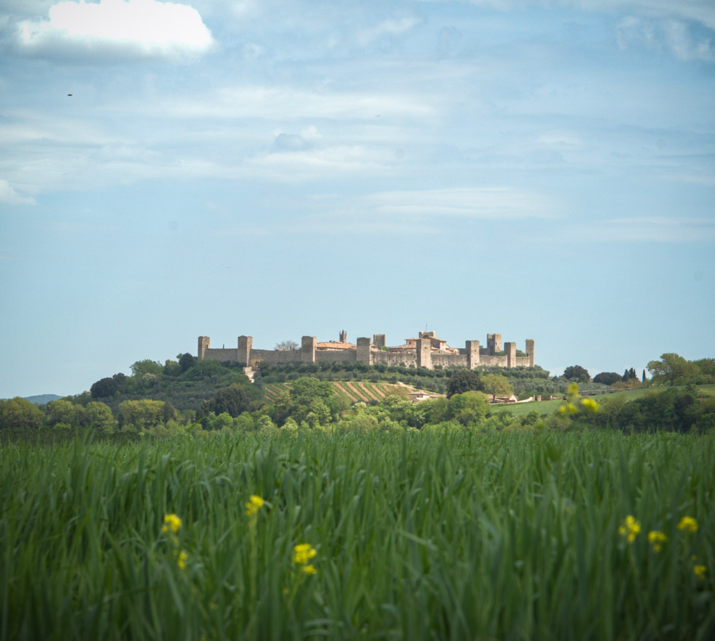 Monteriggioni’s stone walls and towers sit on a green hill beyond tall grass and wildflowers. This fortified village is a scenic medieval stop on the Via Francigena San Gimignano to Siena walk.