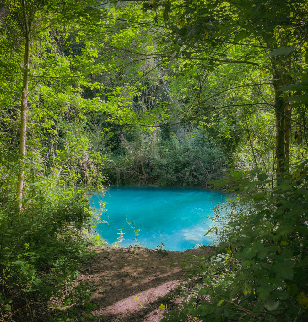 Bright turquoise water is framed by dense green trees and leafy branches in a shaded woodland pool. This hidden river view shows a peaceful natural stop near the Via Francigena San Gimignano to Siena route.
