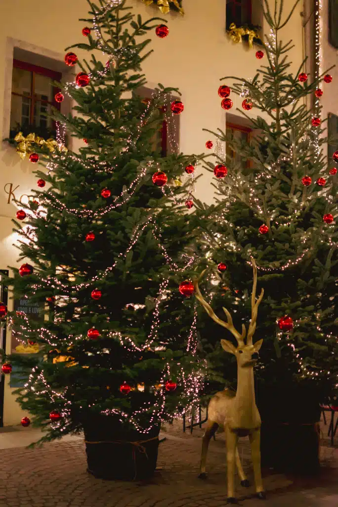 Two potted Christmas trees with red baubles and fairy lights beside a golden reindeer statue in Bruneck's old town at night