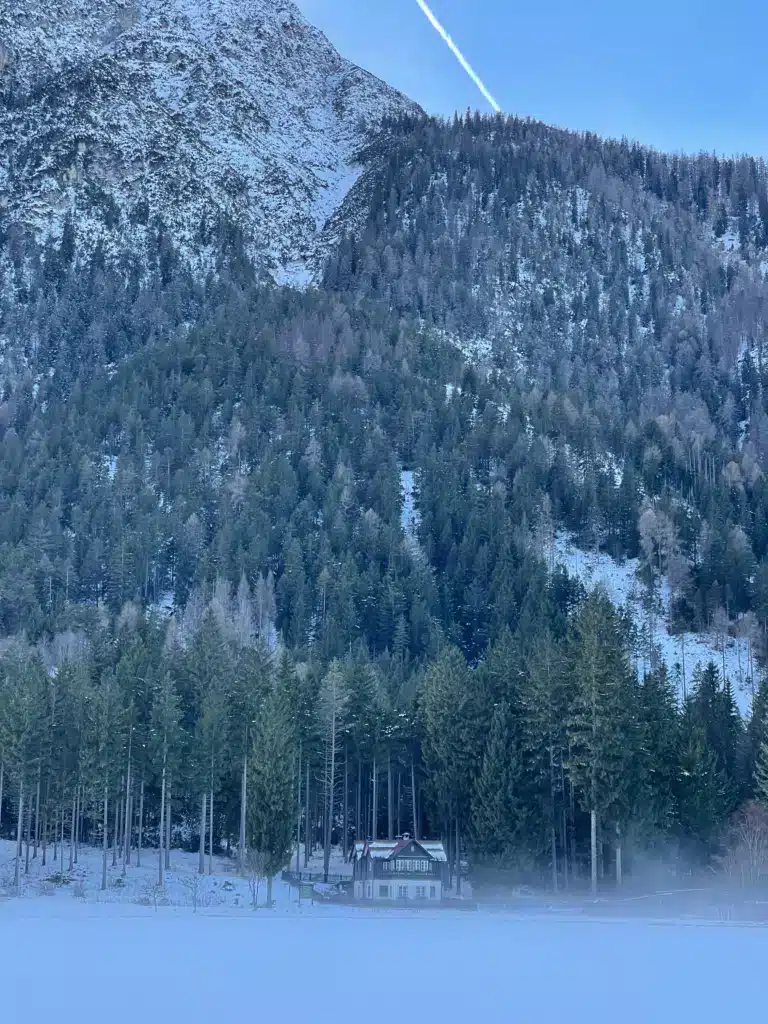 lago-di-dobbiaco-snowy-mountainside-chalet-winter.jpg
