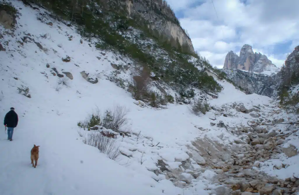 Hiker and dog on a snowy valley track below cliffs with Tre Cime di Lavaredo visible in the distance, Via Alpina R27, winter.