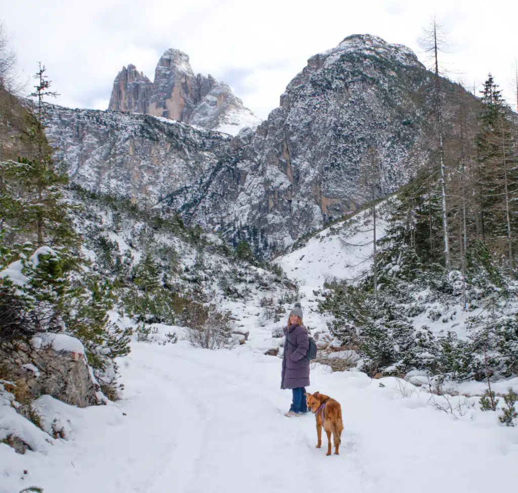 Woman in a purple coat with a dog on a snowy trail below Tre Cime di Lavaredo in winter, Dolomites, South Tyrol.