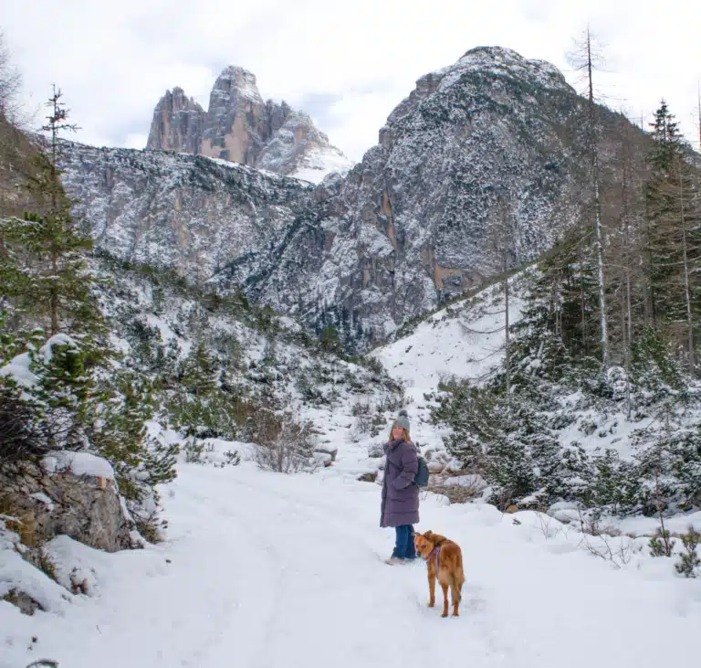 Woman in a purple coat with a dog on a snowy trail below Tre Cime di Lavaredo in winter, Dolomites, South Tyrol.