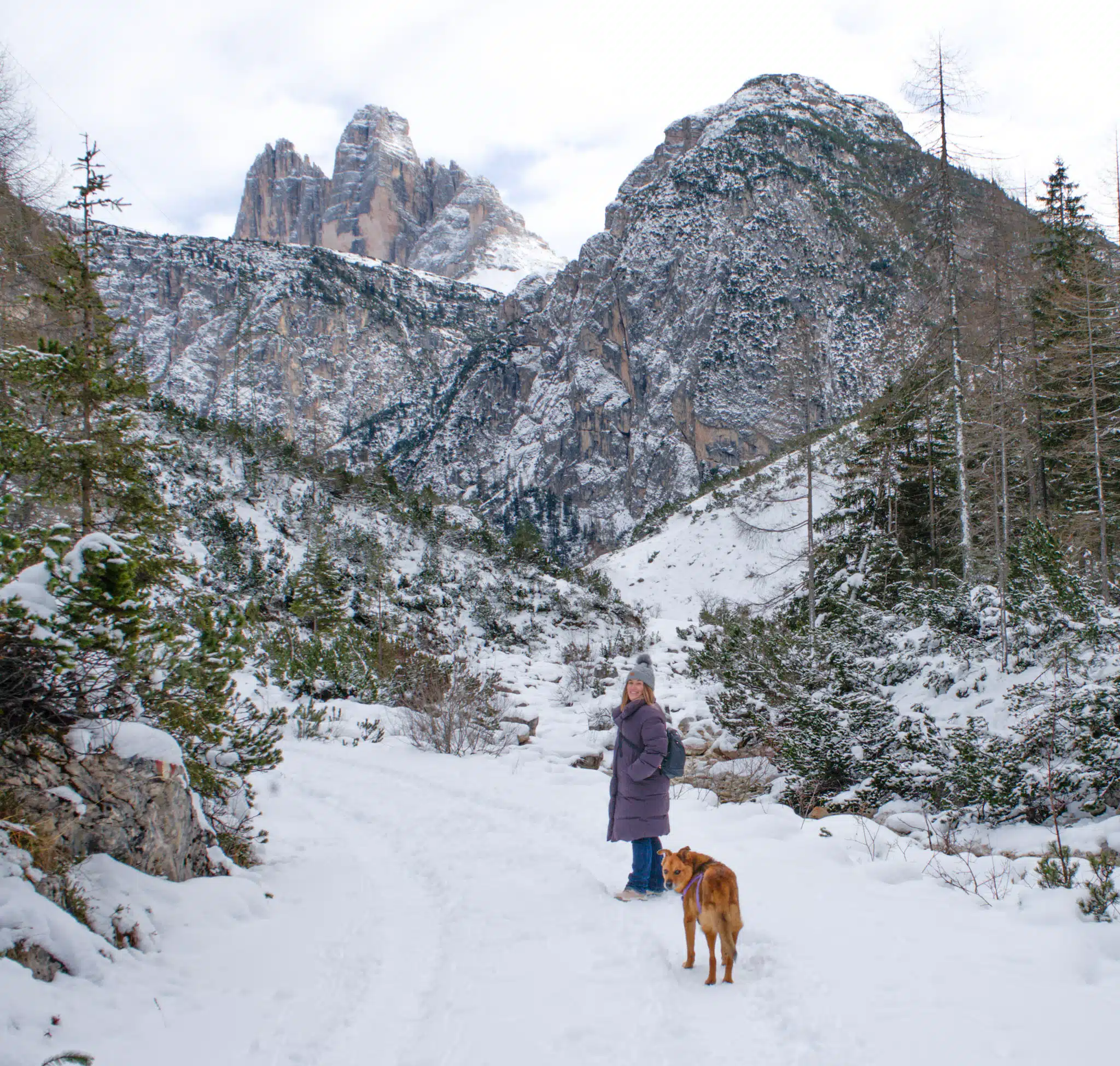 Woman in a purple coat with a dog on a snowy trail below Tre Cime di Lavaredo in winter, Dolomites, South Tyrol.
