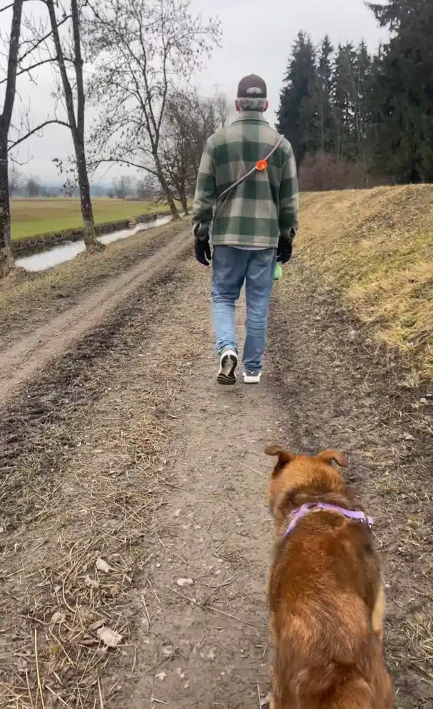 Man walking dog on leash along muddy countryside trail near Bregenz on Lake Constance Christmas market trip