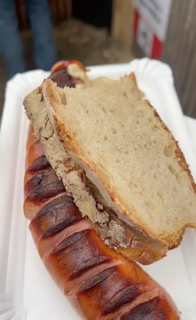 Grilled bratwurst in crusty bread roll at Bregenz Christmas market food stall