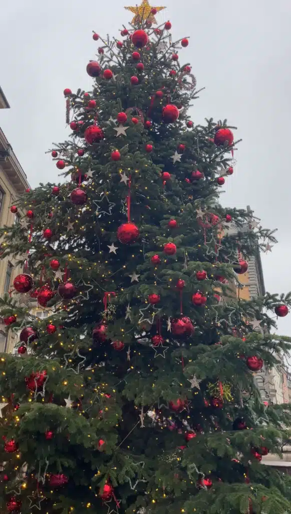 Large Christmas tree decorated with red ornaments and stars in Konstanz town square