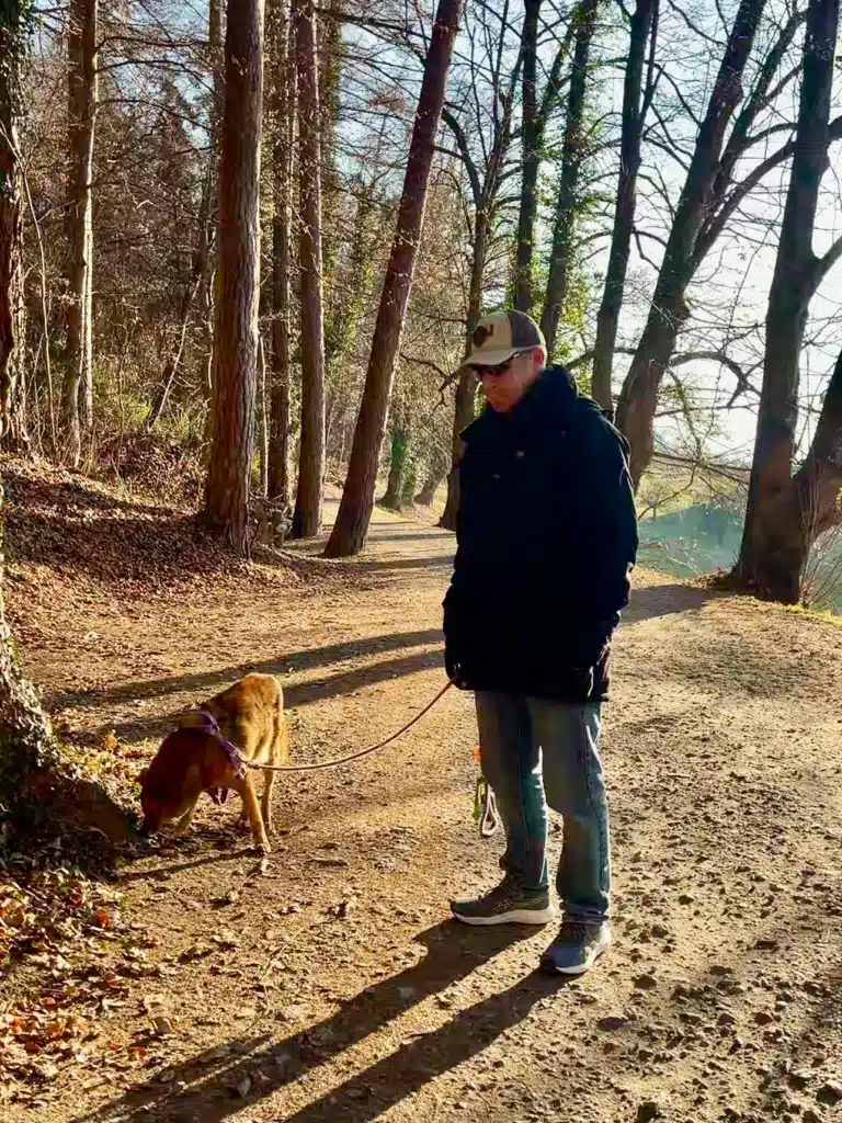 Man walking dog on sunlit forest trail in Vaduz, Liechtenstein