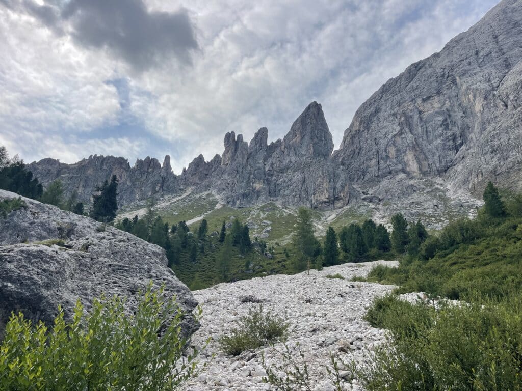 agged limestone Dolomites peaks rising above a white scree field with pine trees
