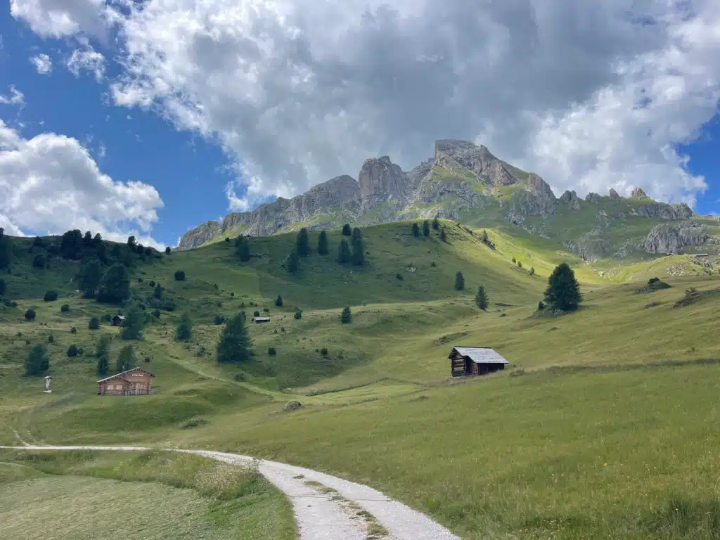 Two dark wooden huts in a white wildflower meadow with Dolomites peaks in the distance
