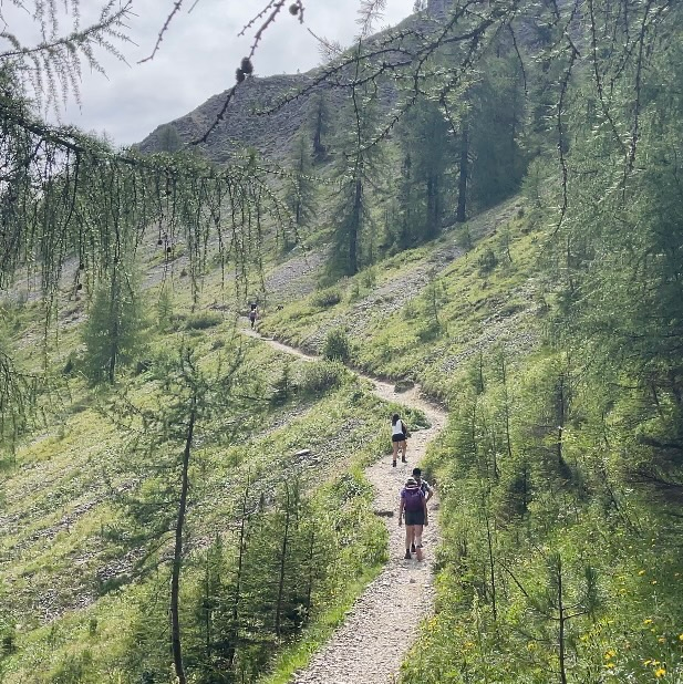 Hikers walking a gravel switchback trail through larch forest toward Gomo Pass in the Dolomites