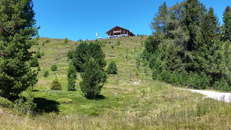 Mountain hut visible through pine trees on the trail toward Maurerberg
