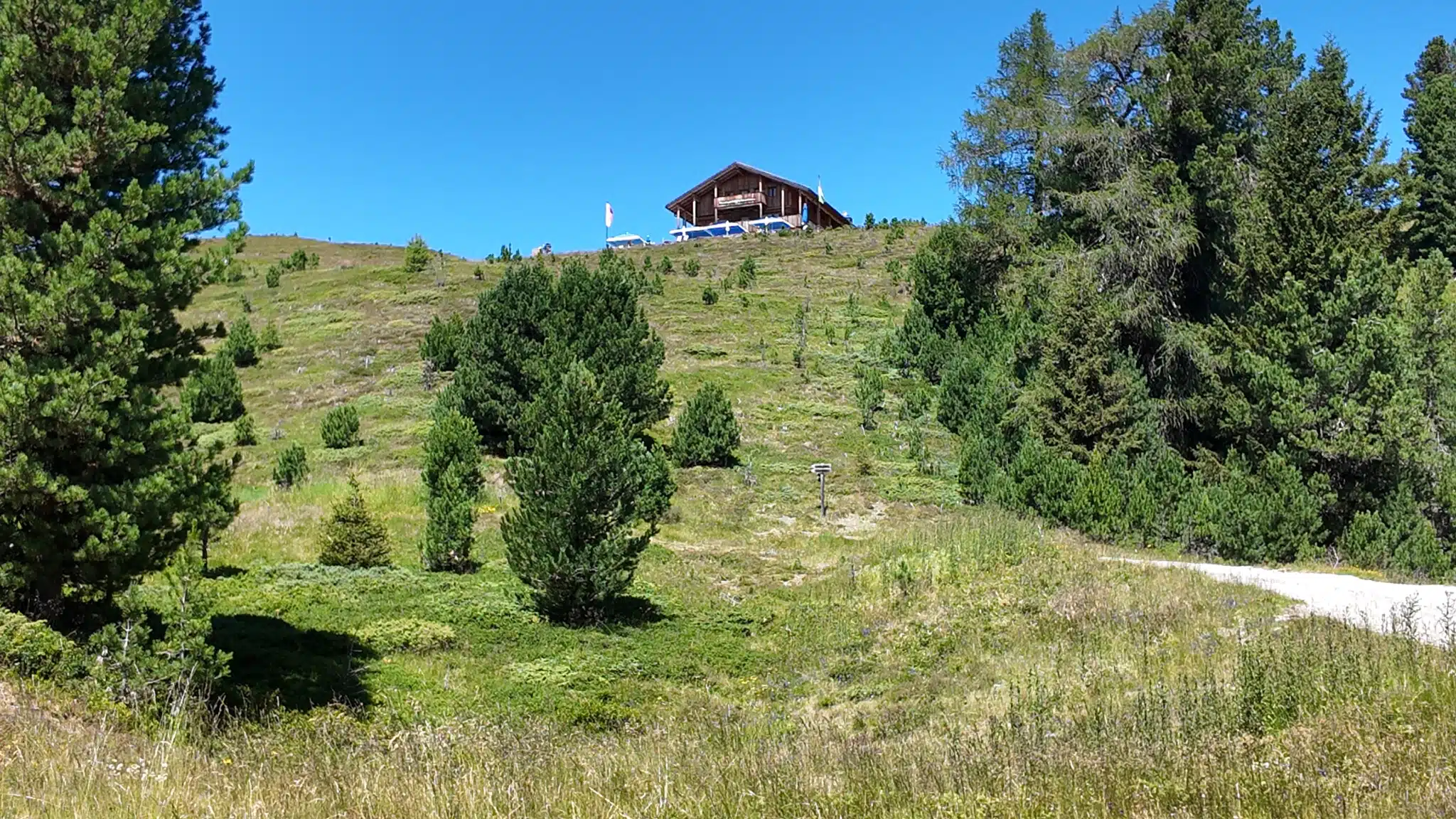 Mountain hut visible through pine trees on the trail toward Maurerberg