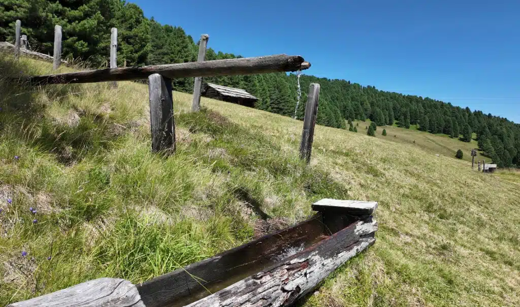 Traditional wooden alpine fountain trough with running water along the trail near Passo delle Erbe