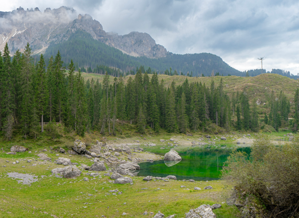 Lago di Carezza in the Dolomites at low water level, with pale rocky lakebed exposed in the foreground and the Latemar under cloud