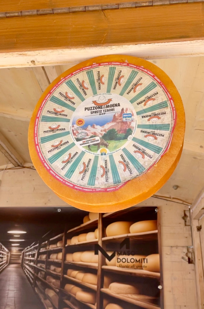 A wheel of Puzzone di Moena DOP labelled Spretz Tzaori, in front of an image of the cheese aging cellar