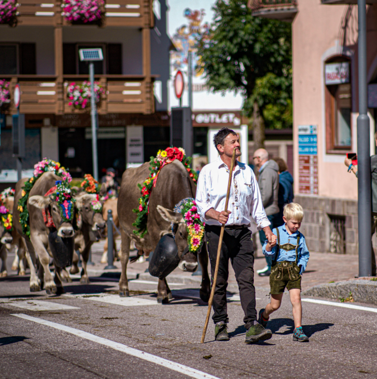 A farmer with a wooden staff walking his herd through Moena holding the hand of a small boy in lederhosen