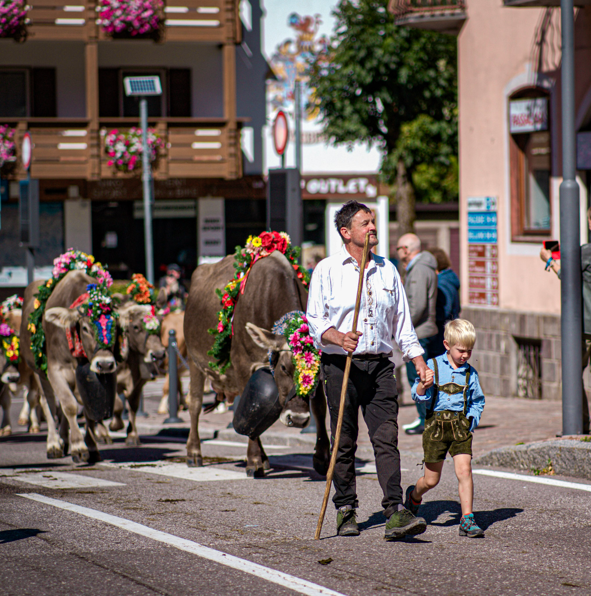 A farmer with a wooden staff walking his herd through Moena holding the hand of a small boy in lederhosen