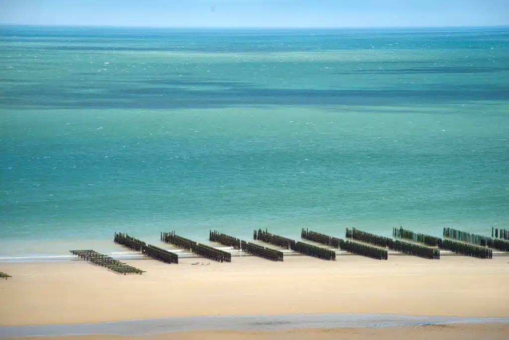 Rows of mussel farming posts in the shallows at Wissant on the Côte d'Opale in northern France d'Opale in northern France