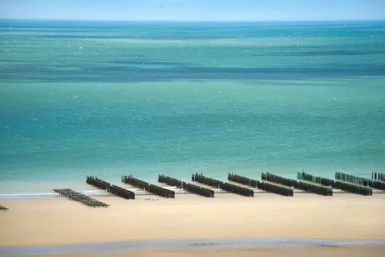 Rows of mussel farming posts in the shallows at Wissant on the Côte d'Opale in northern France d'Opale in northern France