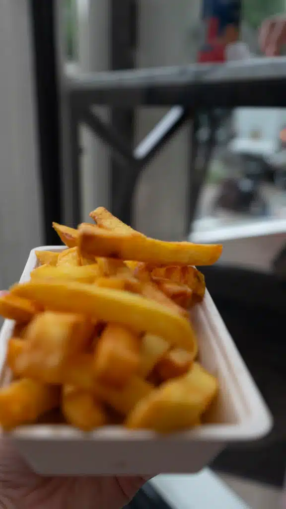 Paper tray of thick-cut Dutch fries held up on a food tour in Amsterdam