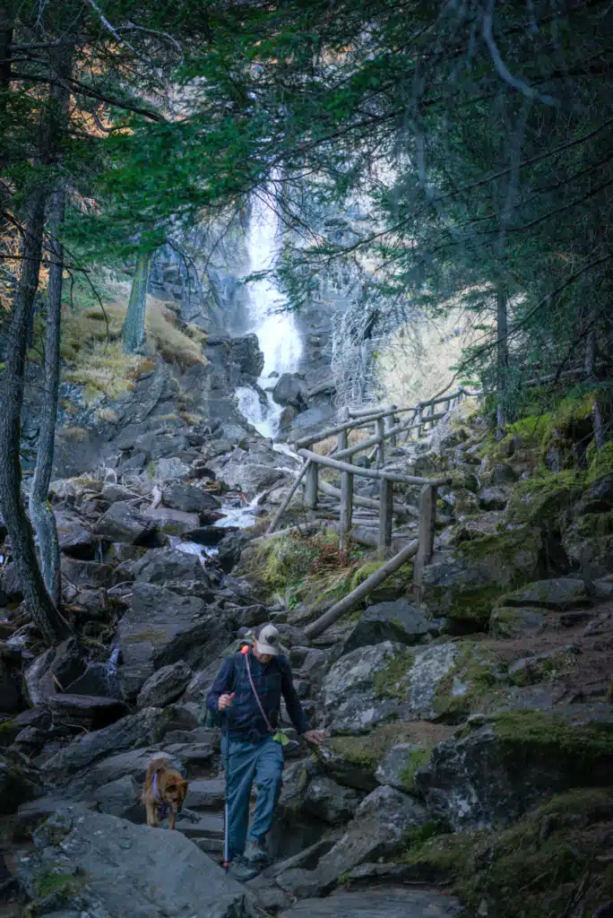 Hiker and a dog descending rocky steps below the Cascate Saent waterfall, with a timber railing along the trail